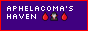 Aphelacoma's Haven