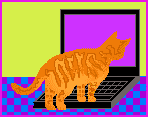 Computer Cat Animated Gif